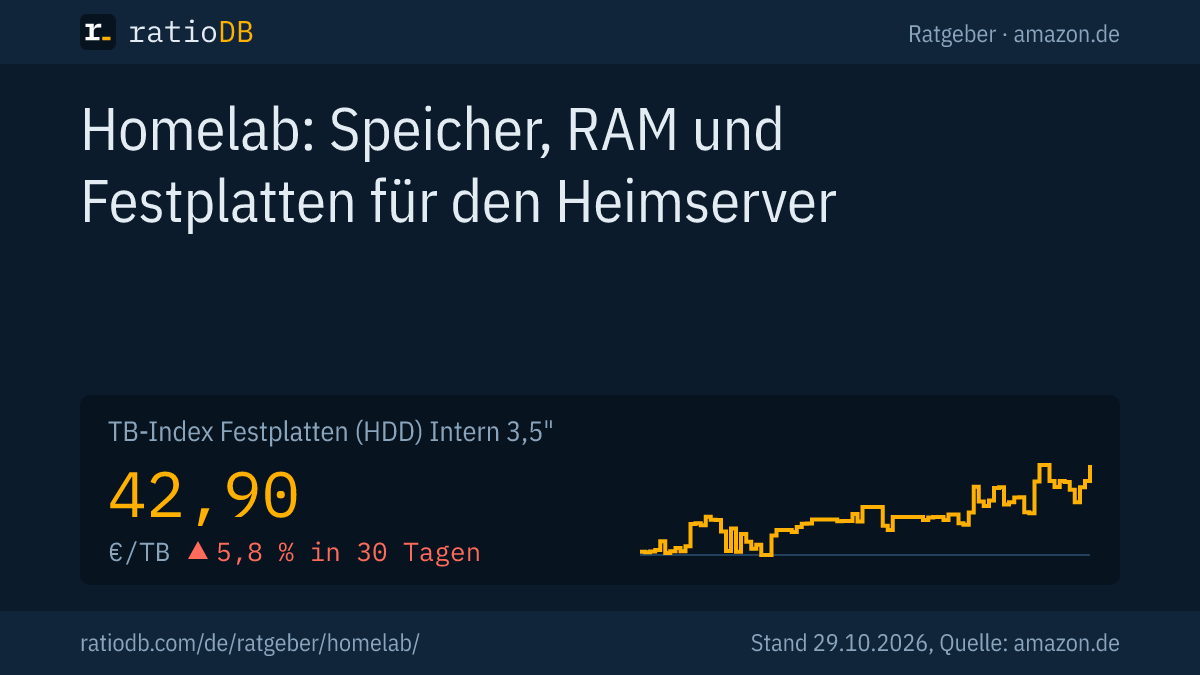 Coverbild Homelab mit der Kurve des TB-Index für interne 3,5-Zoll-Festplatten auf amazon.de